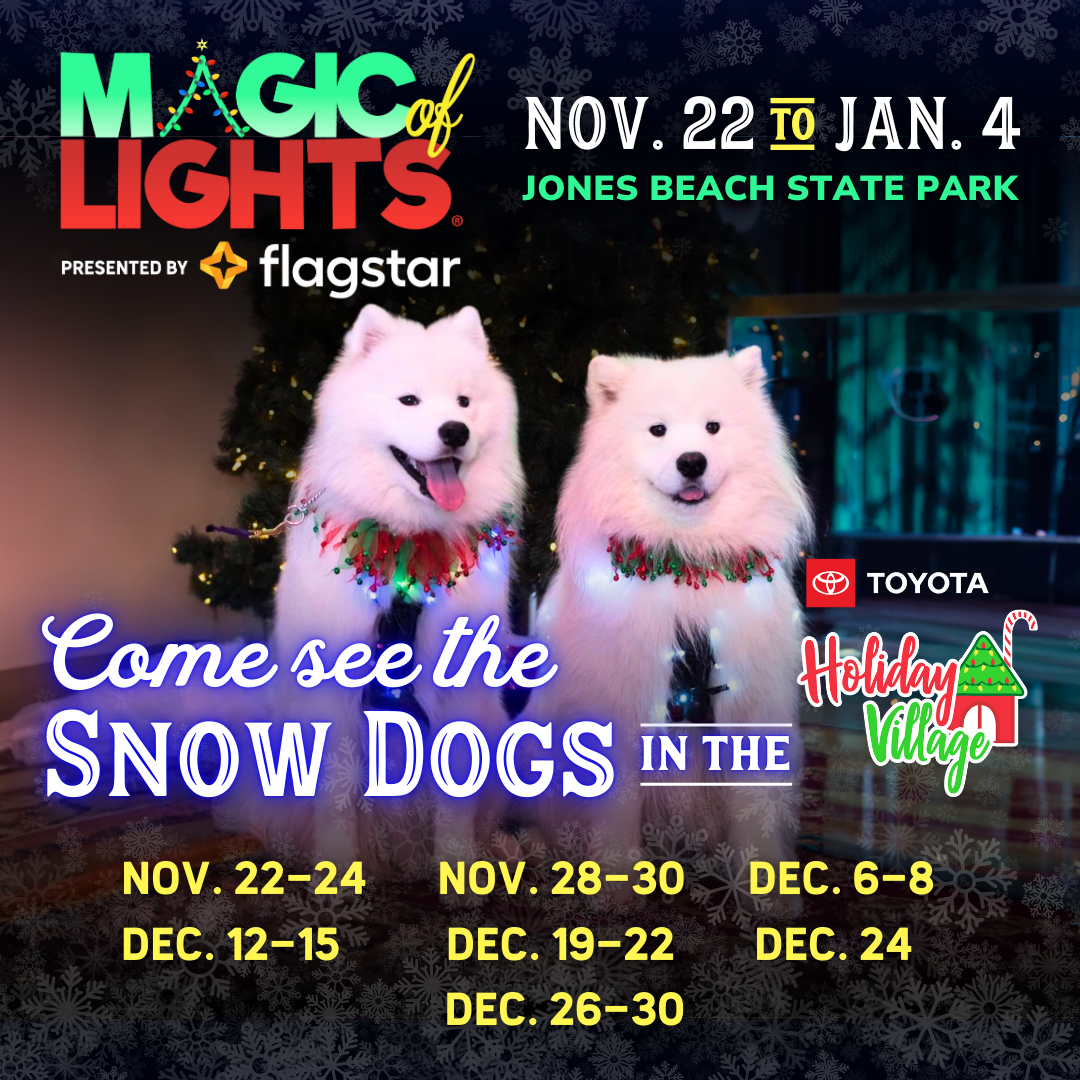 Visit the Snow Dogs!