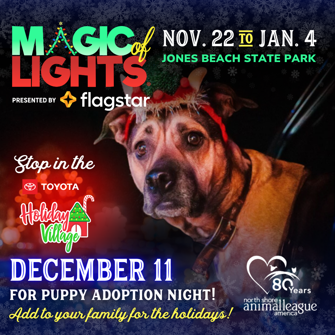Pet Adoption!