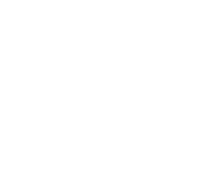 Zinner